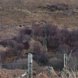 2018-11 Scotland/Portnalong/DSC_7343.JPG